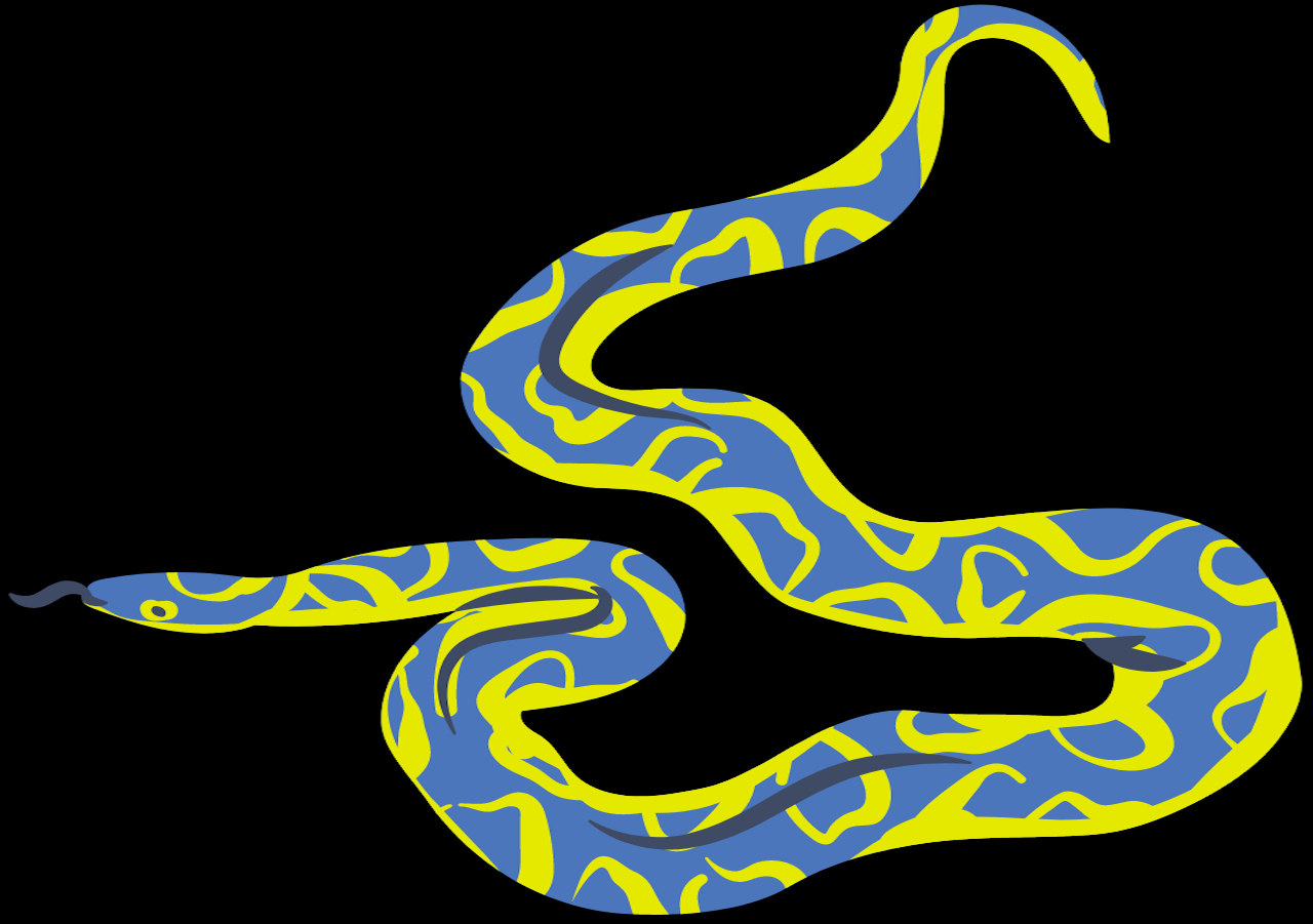 Python Image